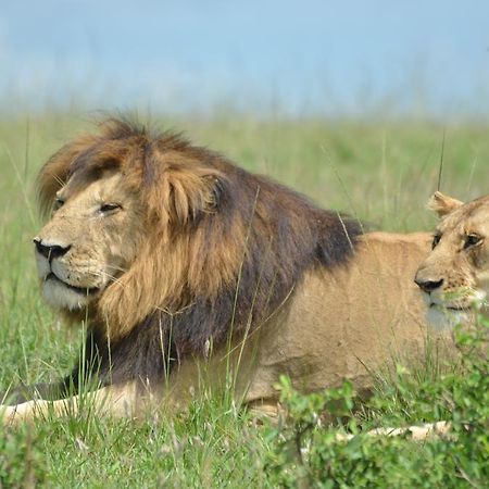 Rekero Camp Hotel Mara Simba Buitenkant foto